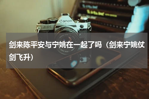 剑来陈平安与宁姚在一起了吗（剑来宁姚仗剑飞升）