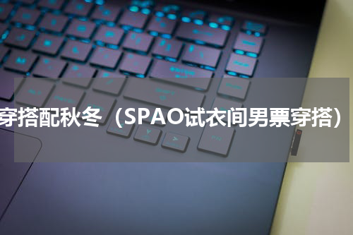 叠穿搭配秋冬（SPAO试衣间男票穿搭）