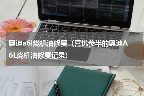 奥迪a6l烧机油修复（喜忧参半的奥迪A6L烧机油修复记录）