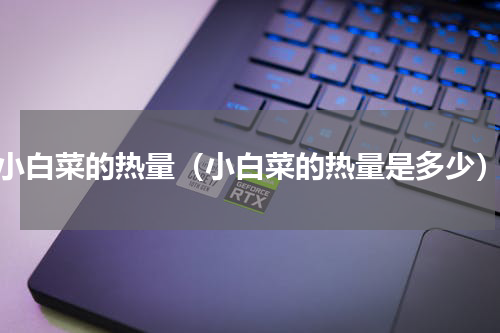 小白菜的热量（小白菜的热量是多少）