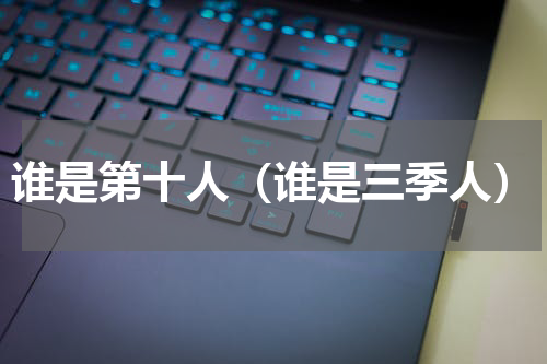 谁是第十人（谁是三季人）