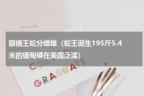 眼镜王蛇分雌雄（蛇王诞生195斤5.4米的缅甸蟒在美国泛滥）