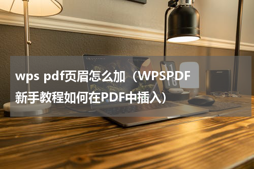 wps pdf页眉怎么加（WPSPDF新手教程如何在PDF中插入）