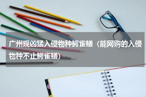 广州现凶猛入侵物种鳄雀鳝（能网购的入侵物种不止鳄雀鳝）