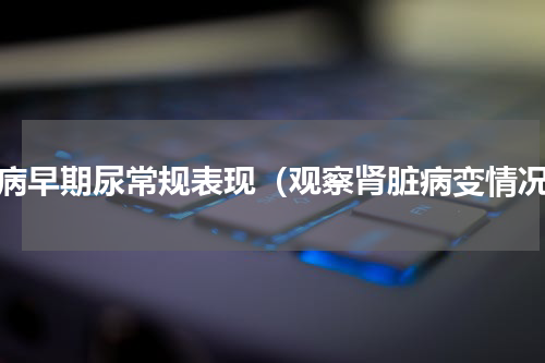 肾病早期尿常规表现（观察肾脏病变情况）