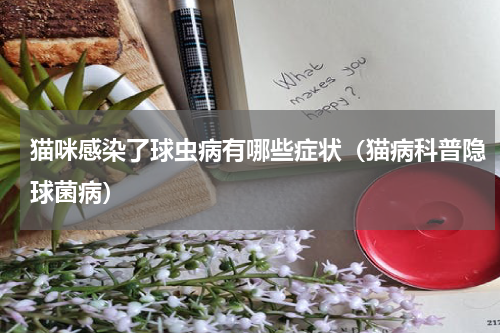 猫咪感染了球虫病有哪些症状（猫病科普隐球菌病）