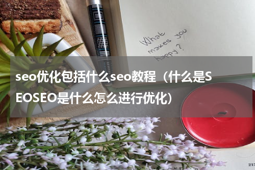 seo优化包括什么seo教程（什么是SEOSEO是什么怎么进行优化）