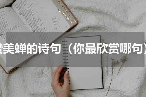 赞美蝉的诗句（你最欣赏哪句）