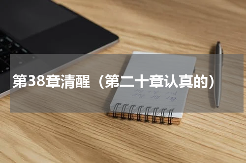 第38章清醒（第二十章认真的）