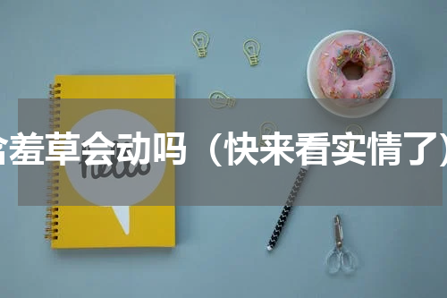 含羞草会动吗（快来看实情了）
