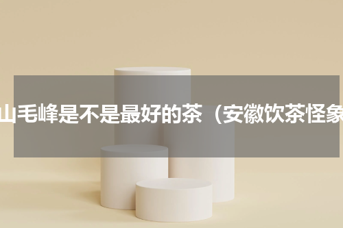 黄山毛峰是不是最好的茶（安徽饮茶怪象）