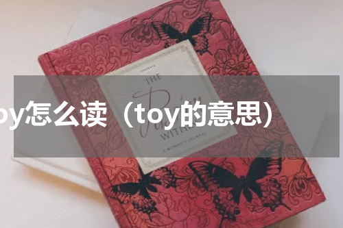 toy怎么读（toy的意思）
