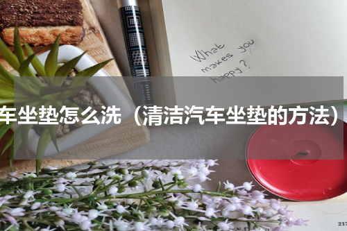 车坐垫怎么洗（清洁汽车坐垫的方法）