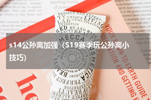 s14公孙离加强（S19赛季玩公孙离小技巧）