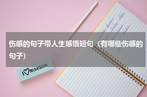 伤感的句子带人生感悟短句（有哪些伤感的句子）