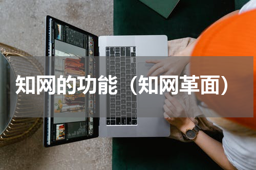 知网的功能（知网革面）