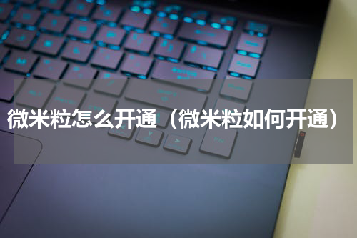 微米粒怎么开通（微米粒如何开通）