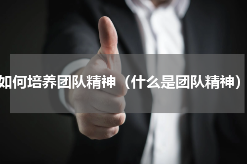 如何培养团队精神（什么是团队精神）