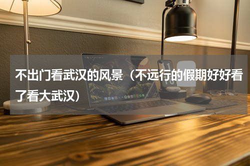 不出门看武汉的风景（不远行的假期好好看了看大武汉）