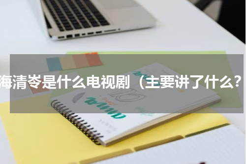 丁海清岺是什么电视剧（主要讲了什么？）