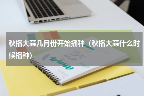 秋播大蒜几月份开始播种（秋播大蒜什么时候播种）