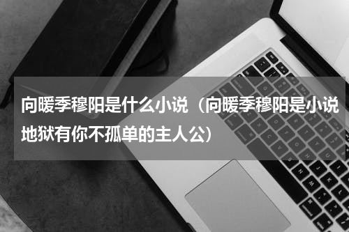 向暖季穆阳是什么小说（向暖季穆阳是小说地狱有你不孤单的主人公）