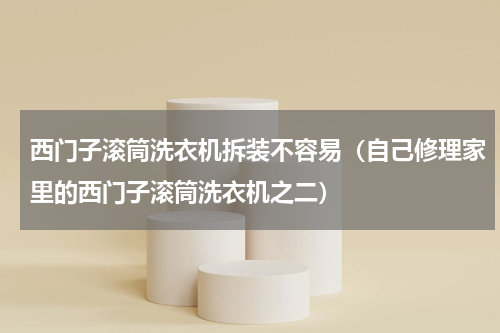 西门子滚筒洗衣机拆装不容易（自己修理家里的西门子滚筒洗衣机之二）