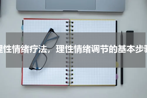 理性情绪疗法，理性情绪调节的基本步骤