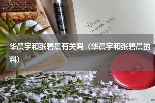 华晨宇和张碧晨有关吗（华晨宇和张碧晨的料）