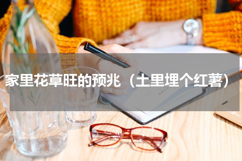 家里花草旺的预兆（土里埋个红薯）