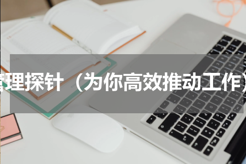 管理探针（为你高效推动工作）