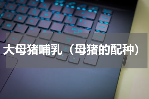 大母猪哺乳（母猪的配种）