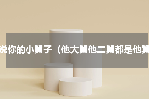 说说你的小舅子（他大舅他二舅都是他舅）