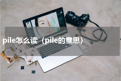 pile怎么读（pile的意思）