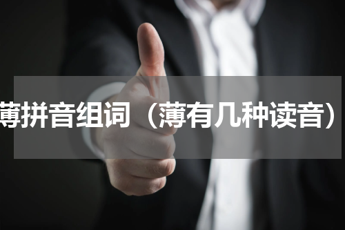 薄拼音组词（薄有几种读音）