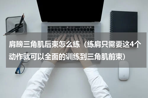 肩膀三角肌后束怎么练（练肩只需要这4个动作就可以全面的训练到三角肌前束）