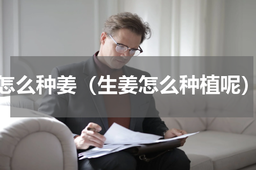 怎么种姜（生姜怎么种植呢）