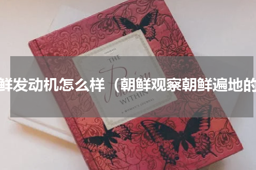 朝鲜发动机怎么样（朝鲜观察朝鲜遍地的）
