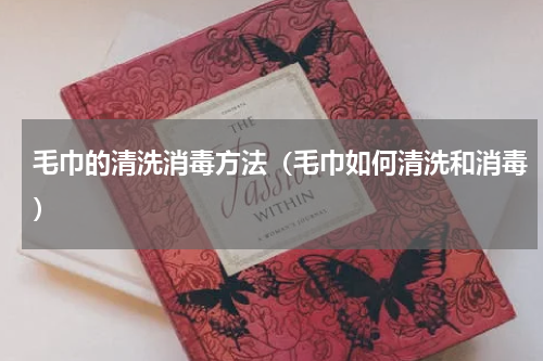 毛巾的清洗消毒方法（毛巾如何清洗和消毒）