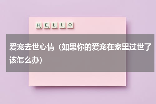 爱宠去世心情（如果你的爱宠在家里过世了该怎么办）