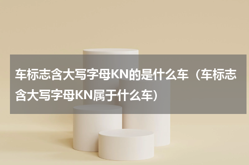 车标志含大写字母KN的是什么车（车标志含大写字母KN属于什么车）