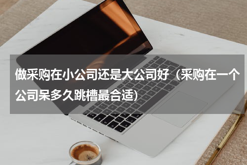做采购在小公司还是大公司好（采购在一个公司呆多久跳槽最合适）