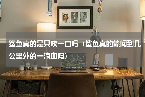 鲨鱼真的是只咬一口吗（鲨鱼真的能闻到几公里外的一滴血吗）