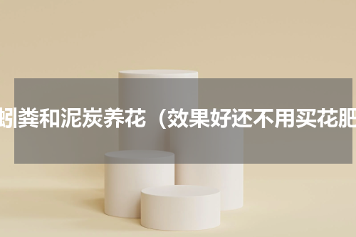 蚯蚓粪和泥炭养花（效果好还不用买花肥）