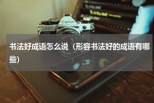 书法好成语怎么说（形容书法好的成语有哪些）