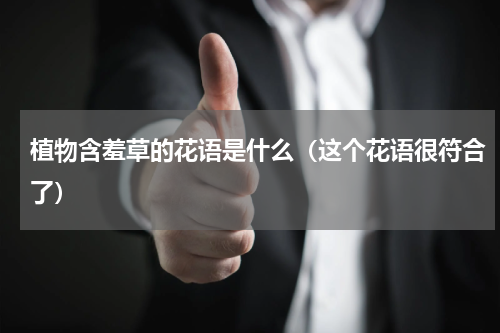 植物含羞草的花语是什么（这个花语很符合了）