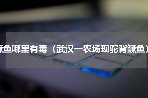 鳜鱼哪里有毒（武汉一农场现驼背鳜鱼）