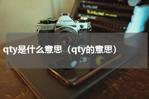 qty是什么意思（qty的意思）