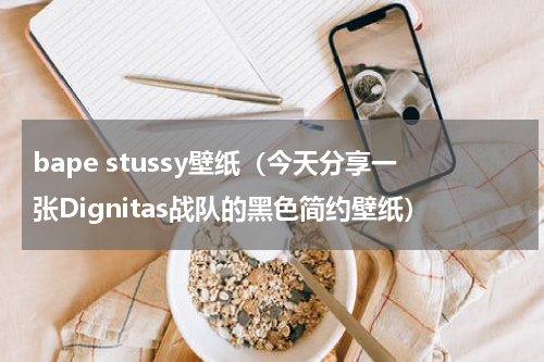 bape stussy壁纸（今天分享一张Dignitas战队的黑色简约壁纸）