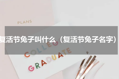 复活节兔子叫什么（复活节兔子名字）